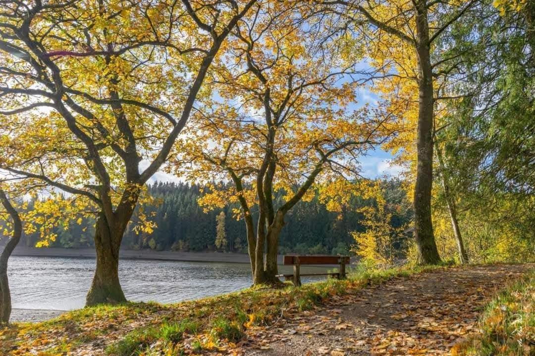 بوتغينباخ Lac Abane Au Lac المظهر الخارجي الصورة